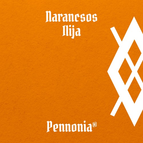 Swatch-PEN-050-Narancsos-Ilija.jpg