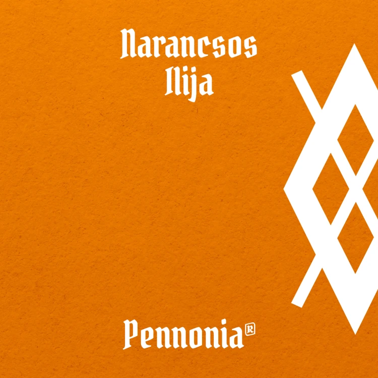 Swatch-PEN-050-Narancsos-Ilija.jpg