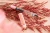 DSC08999.webp