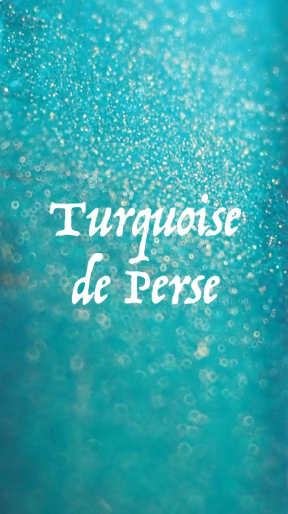 couverture Turquoise de perse.jpg